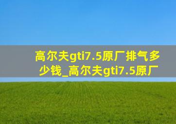 高尔夫gti7.5原厂排气多少钱_高尔夫gti7.5原厂