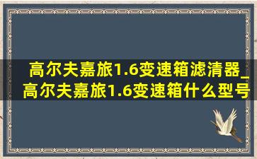 高尔夫嘉旅1.6变速箱滤清器_高尔夫嘉旅1.6变速箱什么型号