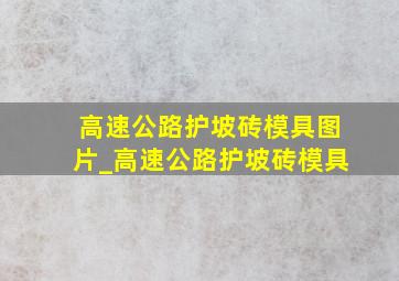 高速公路护坡砖模具图片_高速公路护坡砖模具