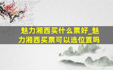 魅力湘西买什么票好_魅力湘西买票可以选位置吗