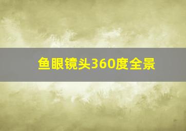 鱼眼镜头360度全景