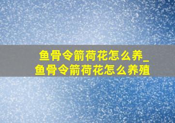 鱼骨令箭荷花怎么养_鱼骨令箭荷花怎么养殖