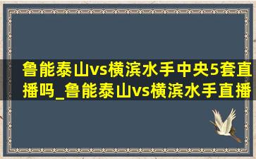 鲁能泰山vs横滨水手中央5套直播吗_鲁能泰山vs横滨水手直播在哪里看