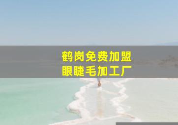 鹤岗免费加盟眼睫毛加工厂