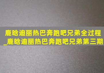 鹿晗迪丽热巴奔跑吧兄弟全过程_鹿晗迪丽热巴奔跑吧兄弟第三期