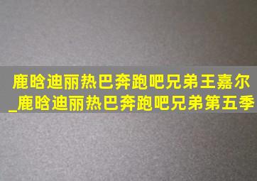 鹿晗迪丽热巴奔跑吧兄弟王嘉尔_鹿晗迪丽热巴奔跑吧兄弟第五季