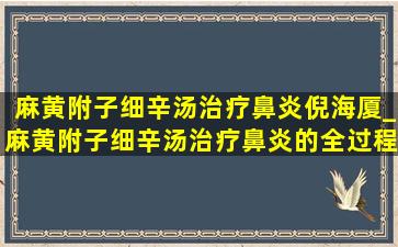 麻黄附子细辛汤治疗鼻炎倪海厦_麻黄附子细辛汤治疗鼻炎的全过程