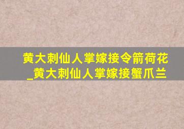 黄大刺仙人掌嫁接令箭荷花_黄大刺仙人掌嫁接蟹爪兰