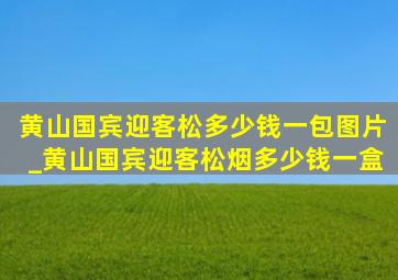 黄山国宾迎客松多少钱一包图片_黄山国宾迎客松烟多少钱一盒