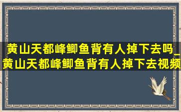 黄山天都峰鲫鱼背有人掉下去吗_黄山天都峰鲫鱼背有人掉下去视频