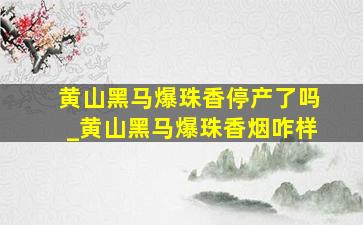 黄山黑马爆珠香停产了吗_黄山黑马爆珠香烟咋样