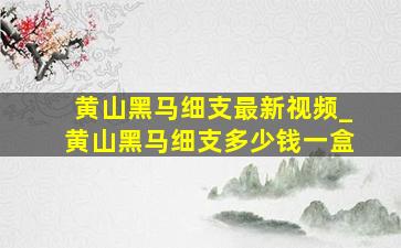 黄山黑马细支最新视频_黄山黑马细支多少钱一盒