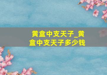 黄盒中支天子_黄盒中支天子多少钱