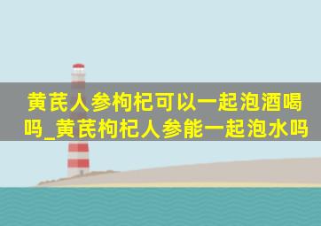 黄芪人参枸杞可以一起泡酒喝吗_黄芪枸杞人参能一起泡水吗