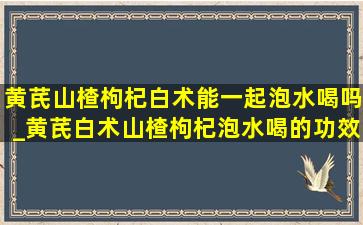 黄芪山楂枸杞白术能一起泡水喝吗_黄芪白术山楂枸杞泡水喝的功效