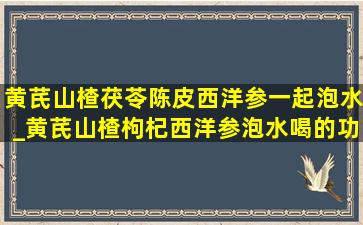 黄芪山楂茯苓陈皮西洋参一起泡水_黄芪山楂枸杞西洋参泡水喝的功效