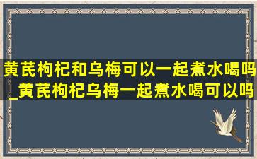 黄芪枸杞和乌梅可以一起煮水喝吗_黄芪枸杞乌梅一起煮水喝可以吗