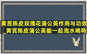 黄芪陈皮玫瑰花蒲公英作用与功效_黄芪陈皮蒲公英能一起泡水喝吗