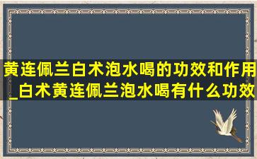 黄连佩兰白术泡水喝的功效和作用_白术黄连佩兰泡水喝有什么功效