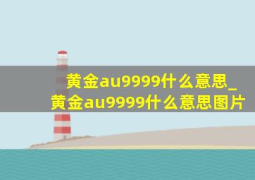 黄金au9999什么意思_黄金au9999什么意思图片