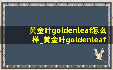 黄金叶goldenleaf怎么样_黄金叶goldenleaf中支