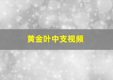 黄金叶中支视频