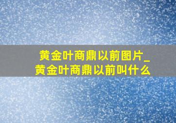 黄金叶商鼎以前图片_黄金叶商鼎以前叫什么