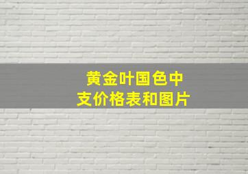 黄金叶国色中支价格表和图片