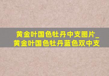 黄金叶国色牡丹中支图片_黄金叶国色牡丹蓝色双中支