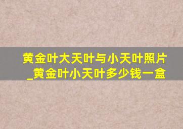 黄金叶大天叶与小天叶照片_黄金叶小天叶多少钱一盒