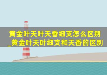 黄金叶天叶天香细支怎么区别_黄金叶天叶细支和天香的区别