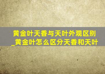 黄金叶天香与天叶外观区别_黄金叶怎么区分天香和天叶