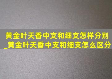 黄金叶天香中支和细支怎样分别_黄金叶天香中支和细支怎么区分