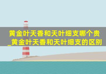 黄金叶天香和天叶细支哪个贵_黄金叶天香和天叶细支的区别