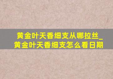 黄金叶天香细支从哪拉丝_黄金叶天香细支怎么看日期