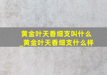 黄金叶天香细支叫什么_黄金叶天香细支什么样