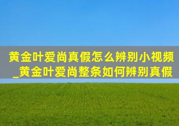 黄金叶爱尚真假怎么辨别小视频_黄金叶爱尚整条如何辨别真假