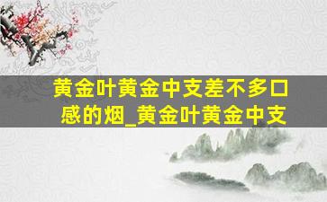 黄金叶黄金中支差不多口感的烟_黄金叶黄金中支