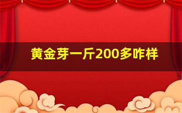 黄金芽一斤200多咋样