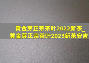 黄金芽正宗茶叶2022新茶_黄金芽正宗茶叶2023新茶安吉