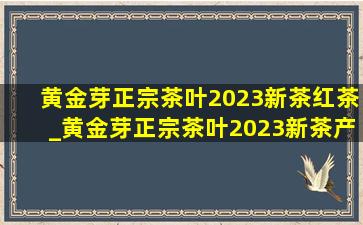 黄金芽正宗茶叶2023新茶红茶_黄金芽正宗茶叶2023新茶产地