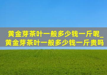 黄金芽茶叶一般多少钱一斤呢_黄金芽茶叶一般多少钱一斤贵吗