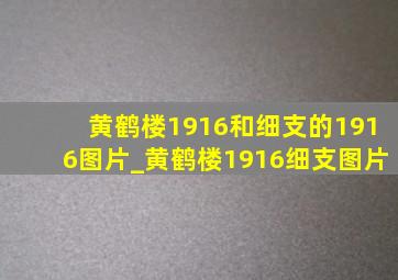 黄鹤楼1916和细支的1916图片_黄鹤楼1916细支图片