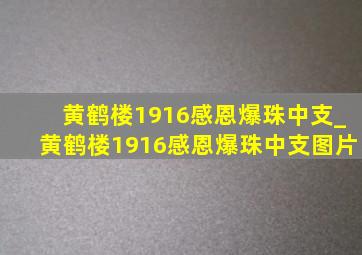 黄鹤楼1916感恩爆珠中支_黄鹤楼1916感恩爆珠中支图片