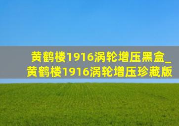 黄鹤楼1916涡轮增压黑盒_黄鹤楼1916涡轮增压珍藏版