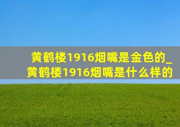 黄鹤楼1916烟嘴是金色的_黄鹤楼1916烟嘴是什么样的