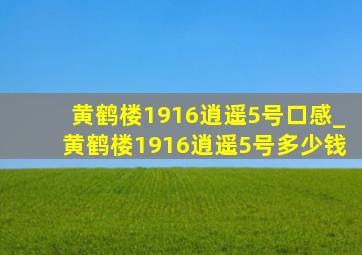 黄鹤楼1916逍遥5号口感_黄鹤楼1916逍遥5号多少钱