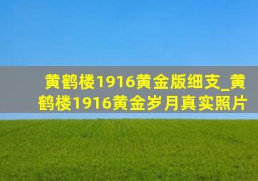 黄鹤楼1916黄金版细支_黄鹤楼1916黄金岁月真实照片