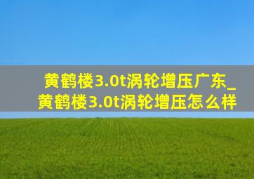 黄鹤楼3.0t涡轮增压广东_黄鹤楼3.0t涡轮增压怎么样