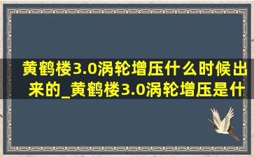 黄鹤楼3.0涡轮增压什么时候出来的_黄鹤楼3.0涡轮增压是什么系列